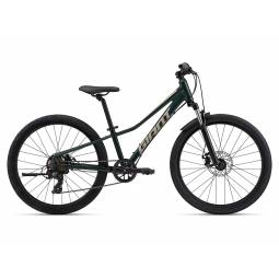 GIANT TALON 24 DISC TREKKING GREEN